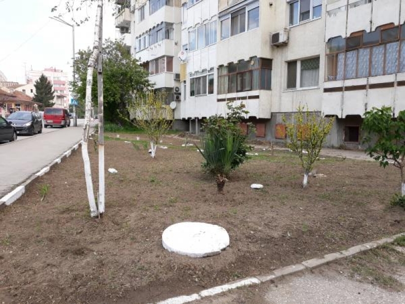 За поредна година един от жилищните блокове в град Свищов е за пример с почистеното си и облагородено околоблоково пространство