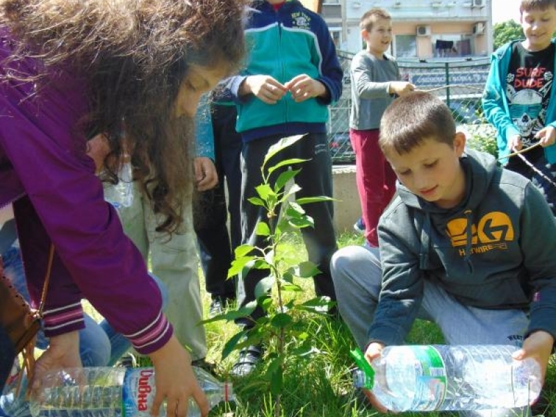 Община Свищов подкрепи националната инициатива на Училища Европа – „Гората на Европа”