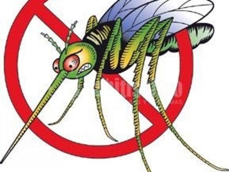 Борим комарите с 56 хил. лв.  от Републиканския бюджет 