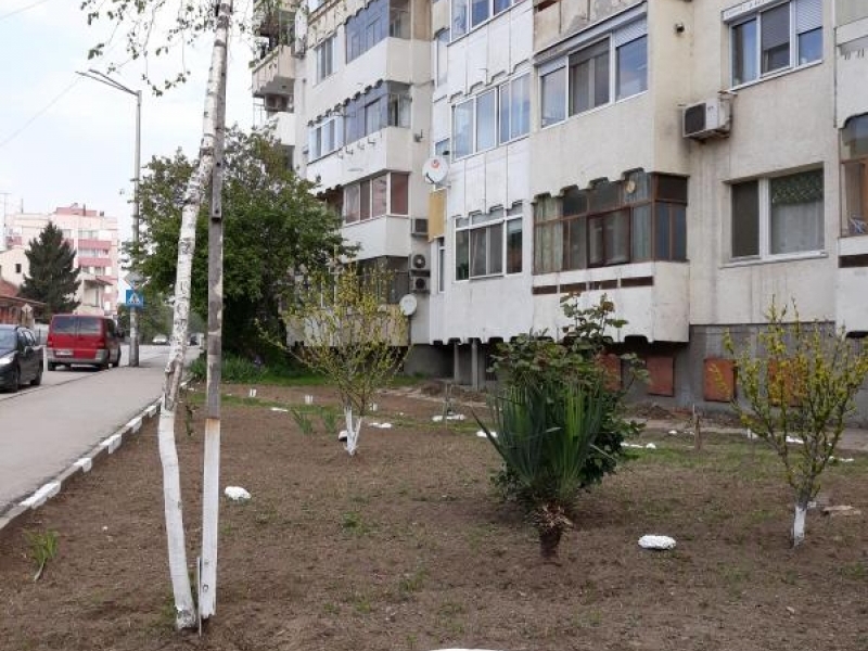 За поредна година един от жилищните блокове в град Свищов е за пример с почистеното си и облагородено околоблоково пространство