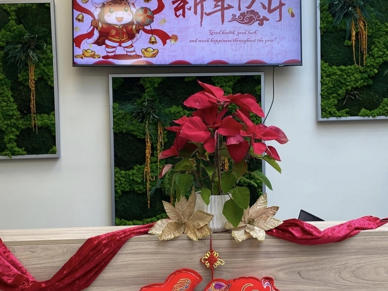 Младежки център – Свищов тържествено отпразнува Китайската Нова година с пъстра програма, вдъхновение и много усмивки