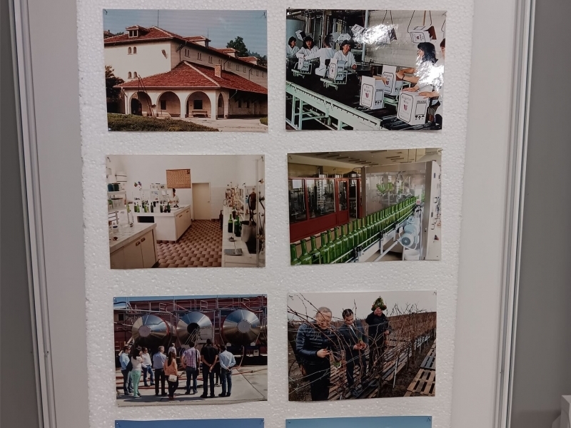 Исторически музей Свищов представя изложба посветена на Трифон Зарезан и винопроизводството 
