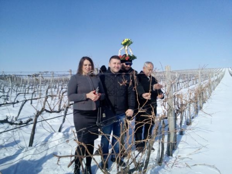 В Свищов отпразнувахме деня на винарите и лозарите -  Трифон Зарезан