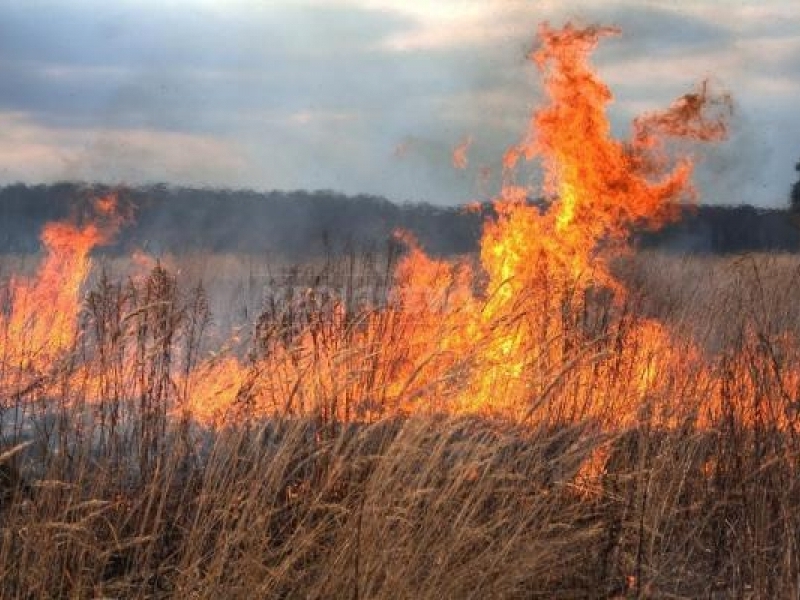 Относно предприемането на превантивни мерки и действия с цел намаляване на риска от пожари в земеделските земи на територията на Община Свищов