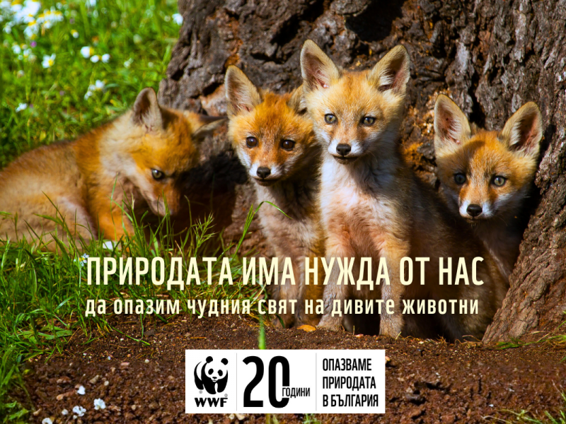 Община Свищов се включва в „Часът на Земята“ 2026: Природата има нужда от нас! 