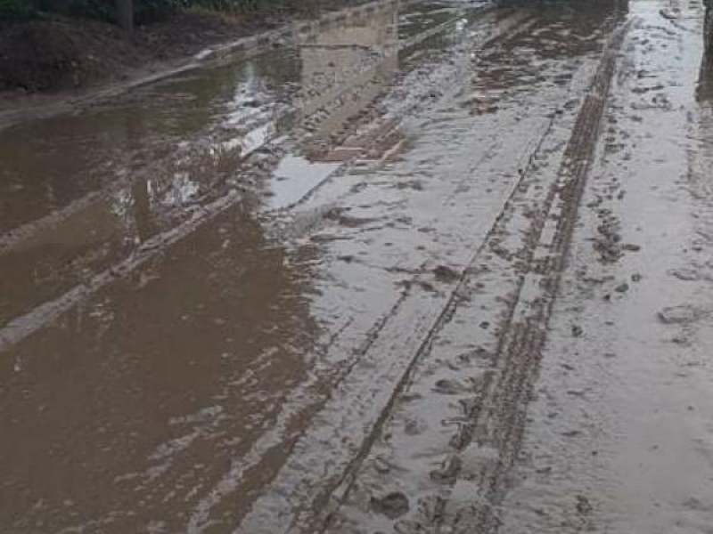 Пороен дъжд нанесе сериозни щети в населени места от община Свищов