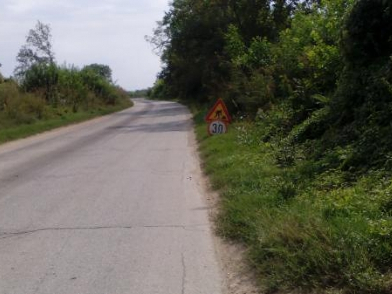АПИ отпусна 5.5 милиона лева за втори етап от ремонта на Републикански път II-52 от село Вардим до град Свищов 