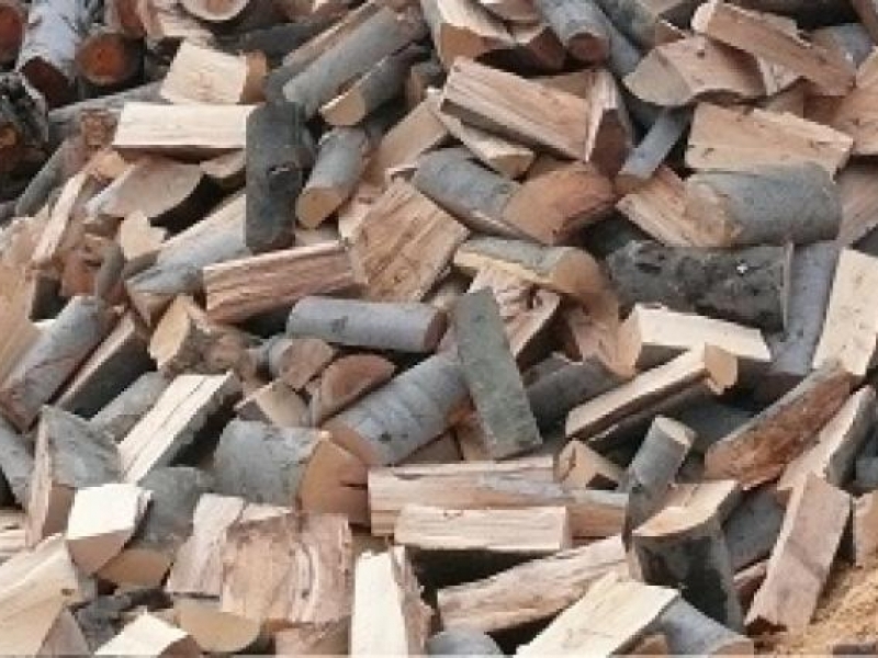 Настъпи активния сезон на снабдяване с дърва и въглища