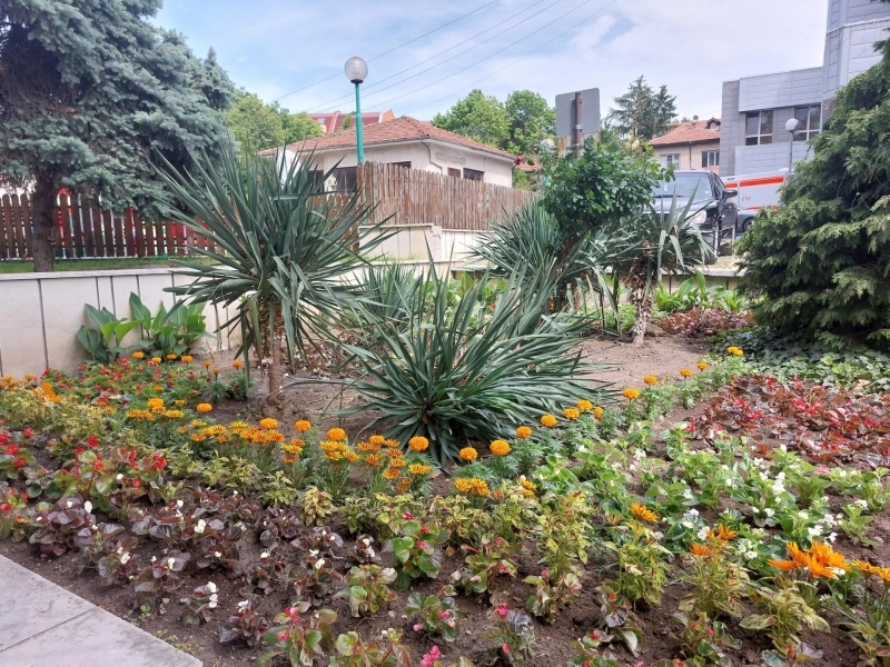 Зацветяването на градските паркове и кътовете за отдих започна в Свищов 