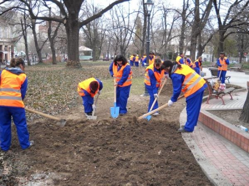 Община Свищов ще осигури 40 нови работни места за градинари. 