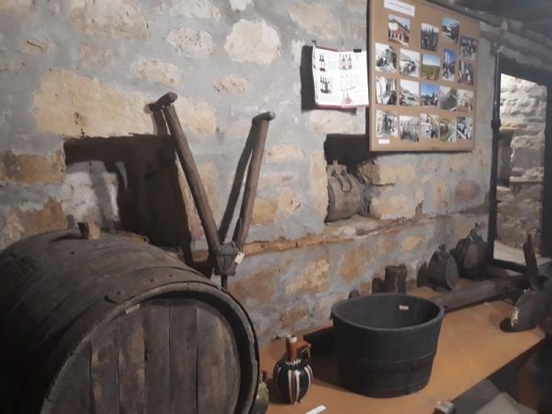 Исторически музей – Свищов откри изложба „Нека е берекет!“ по повод празника на лозарите и винарите