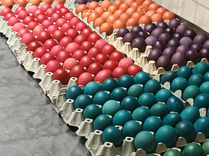 330 потребители на Домашен социален патронаж – Свищов получиха боядисани яйца и козунаци в навечерието на Великденските празници 