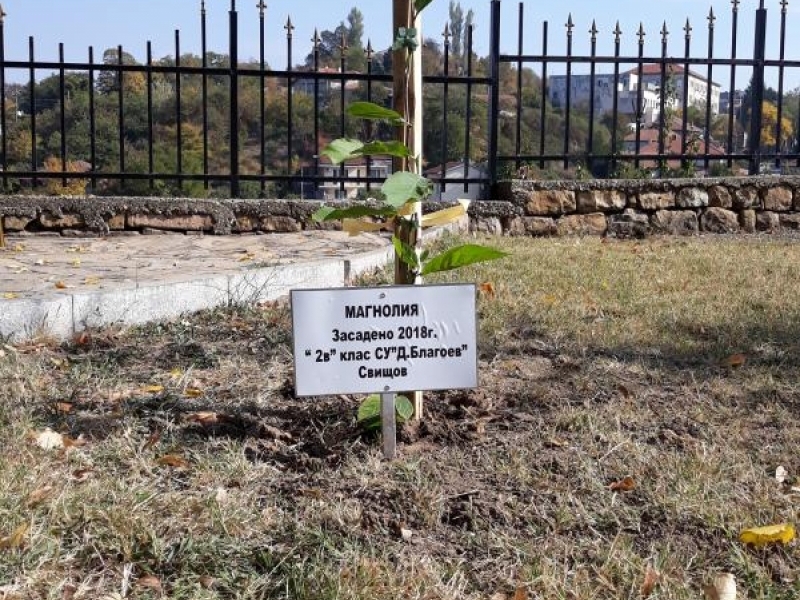 Ученици от СУ „ Димитър Благоев “ - гр. Свищов засадиха дърво в къща музей „Алеко Константинов“ 