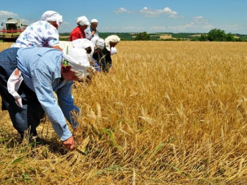 Земеделци изпратиха протестно писмо до министър Найденов