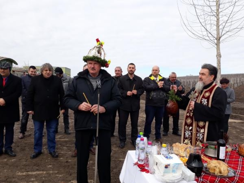 Деня на винарите и лозарите отпразнуваха по традиция в Свищов 