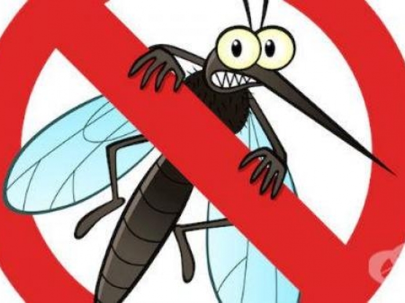 Ларвицидна обработка против комари ще се извърши на 19, 20 и 21.06.2024 г.