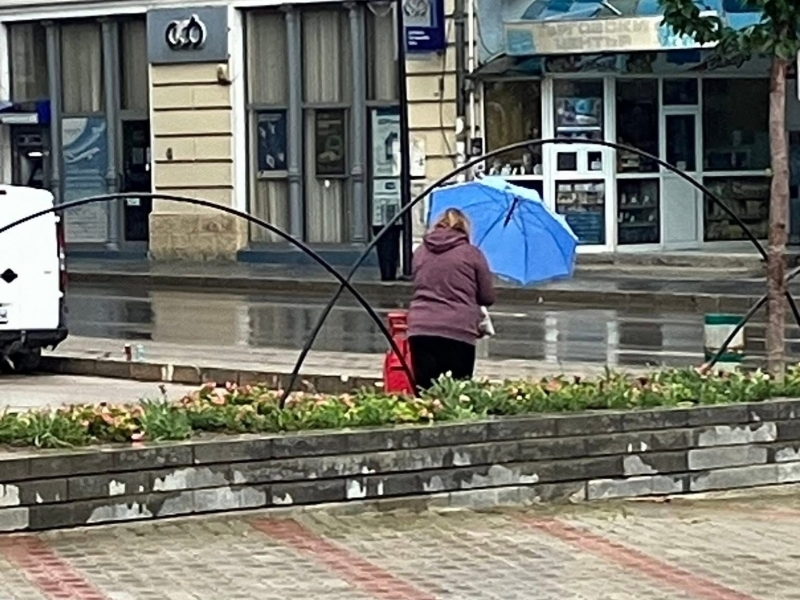 Задържаха жената, която изтръгна новозасадени цветя от парка на площад „Свобода“    