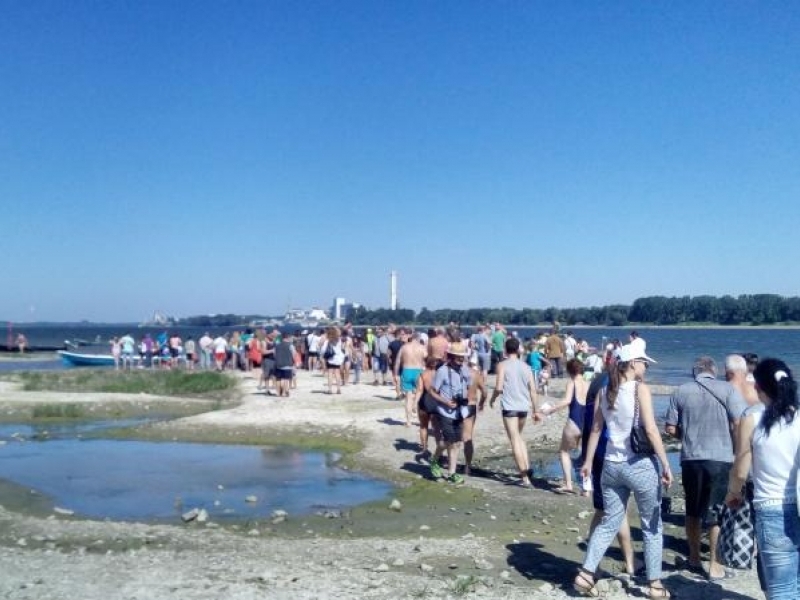 151 участници се включиха в 60-то юбилейно преплуване на река Дунав край Свищов