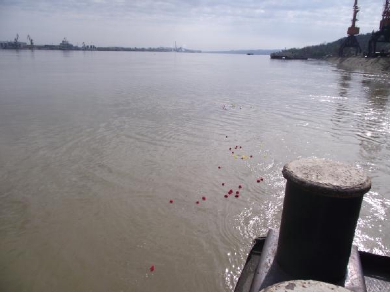 С хвърляне на цветя в Дунав отбелязаха Деня на ромите