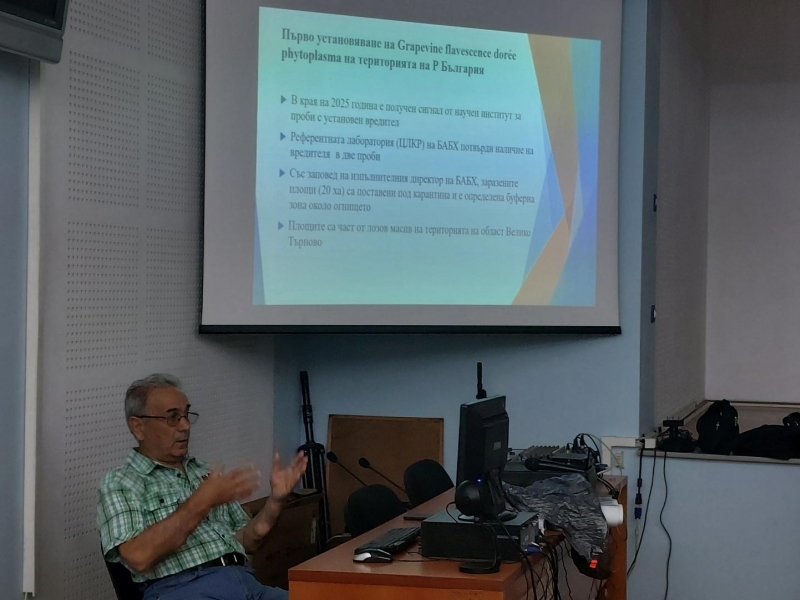 В Свищов представители на Областна дирекция по безопасност на храните проведоха информационна среща във връзка с опасен карантинен вредител по лозата