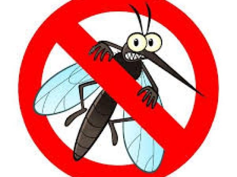 Днес ще бъде извършено наземно третиране срещу комари в Свищов и Вардим