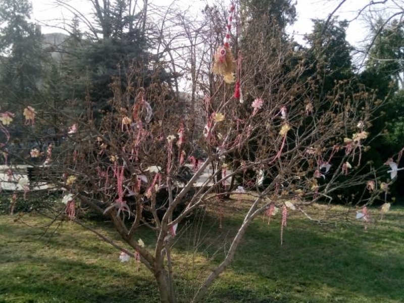 Пъстра инициатива донесе усещане за пролет в Свищов