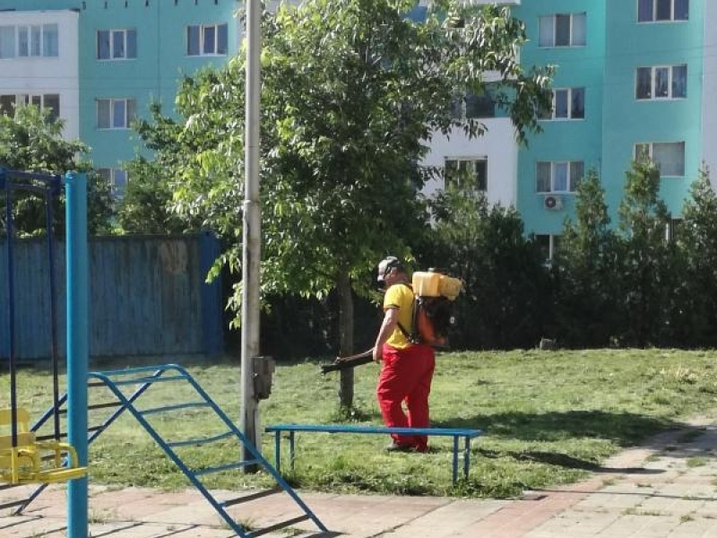 Всички детски площадки в Община Свищов са третирани против кърлежи