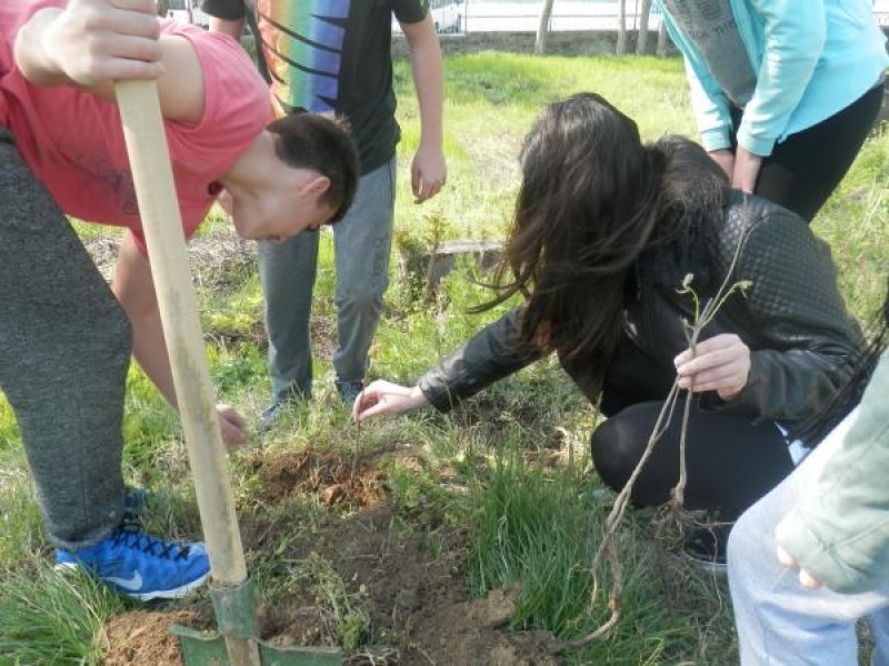 Ученици от УС при СУ „Димитър Благоев“ засадиха дръвчета на стадион „Академик“ в Свищов