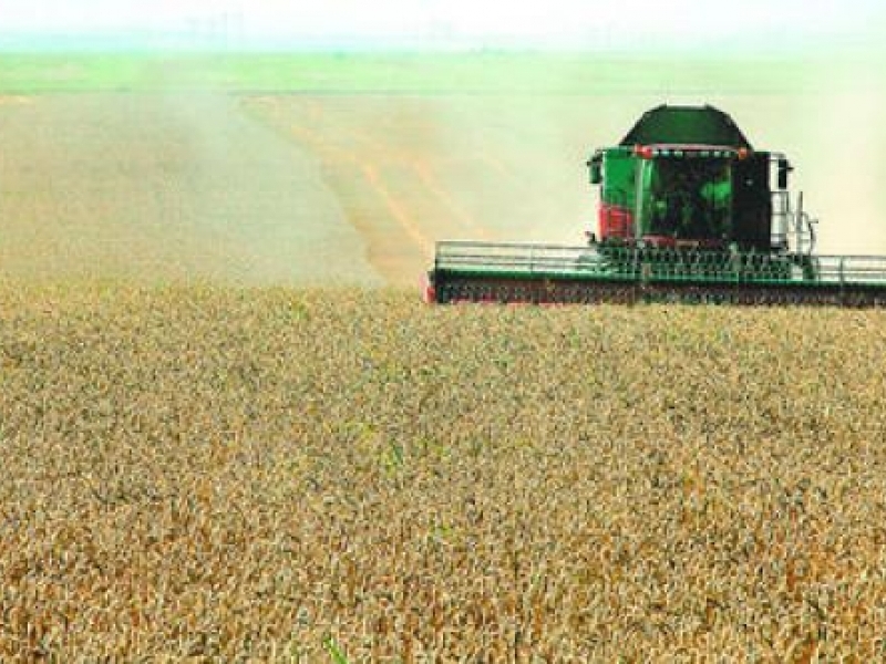 Денят на пшеницата отново събра фермери в Царевец