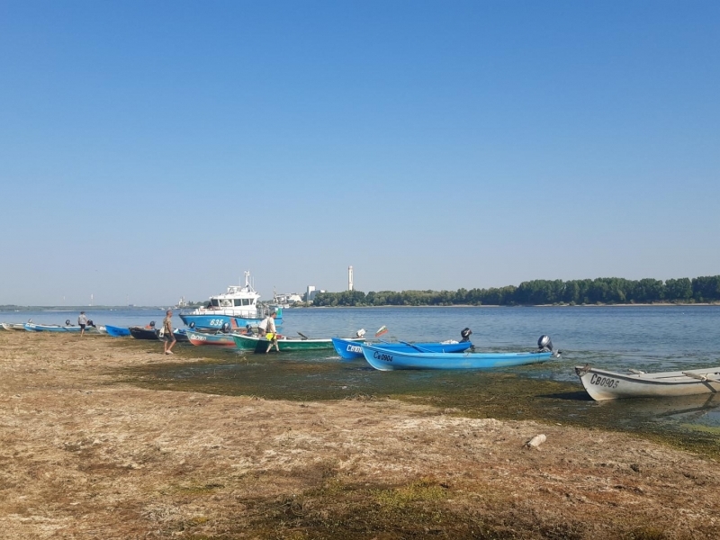 64-то масово преплуване на река Дунав край Свищов тази година бе и с международно участие 