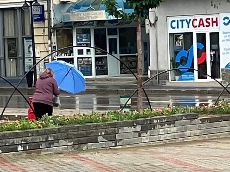 Задържаха жената, която изтръгна новозасадени цветя от парка на площад „Свобода“    