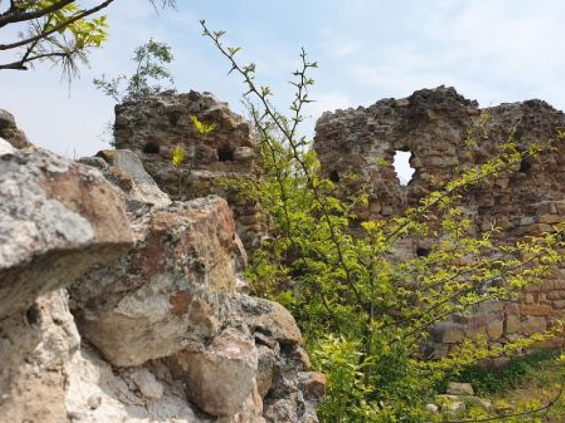 Проф. Николай Овчаров започва археологическо проучване на средновековната крепост „Калето“ в Свищов