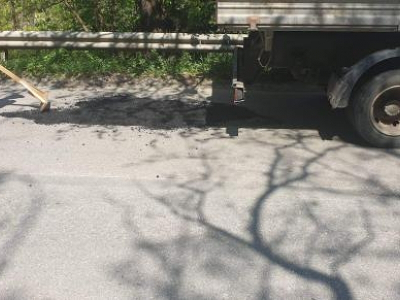 По настояване на кмета на Свищов АПИ започна почистването на  пътните банкети на пътя Свищов – Ореш 