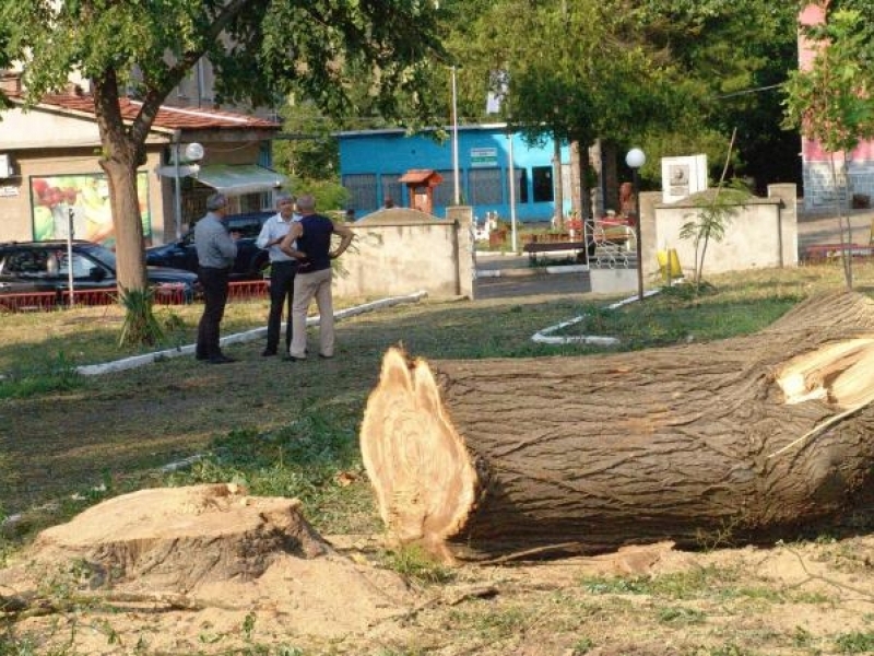 Свищовското село Драгомирово се възстановява след урагана